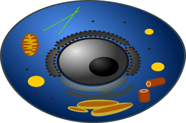 Basic Biology course