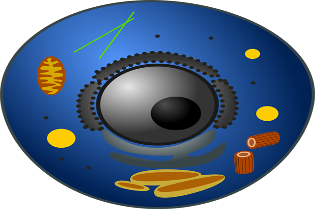 Basic Biology course