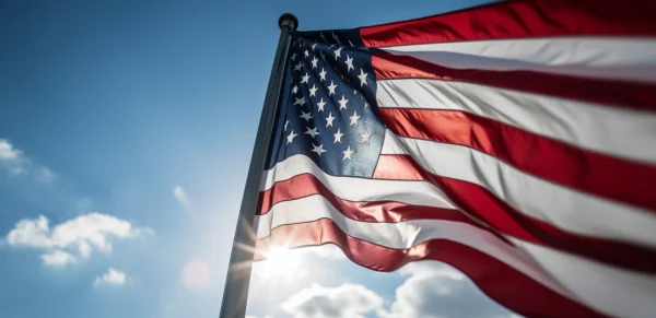 Vexillology in cultural studies