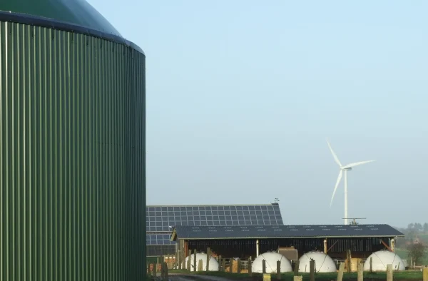 Energiewende squirrels