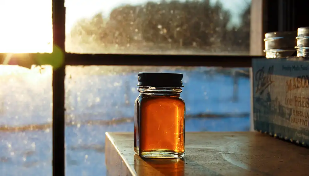 Maple Syrup