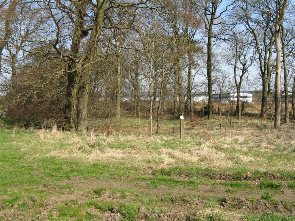 Woodland Trust Scotland