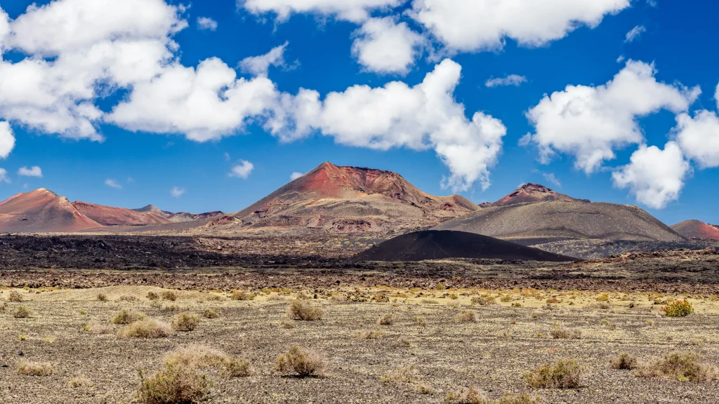 Lanzarote wines