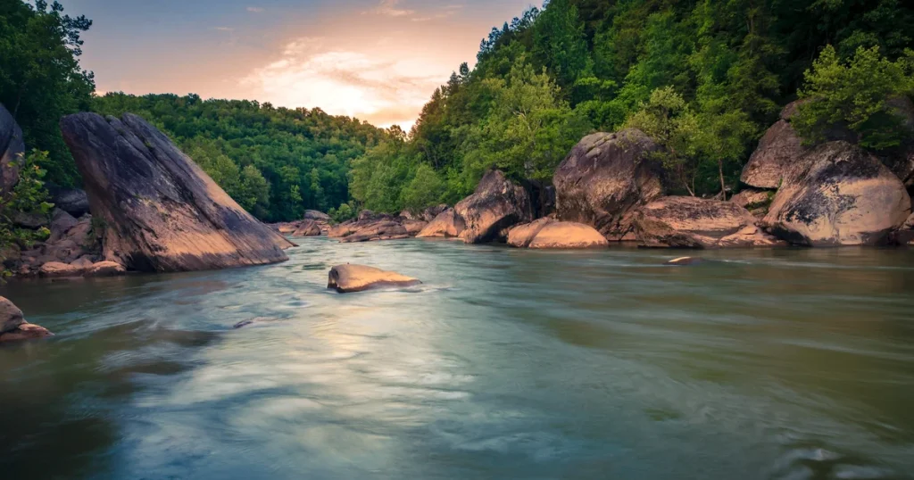 Rights of Nature