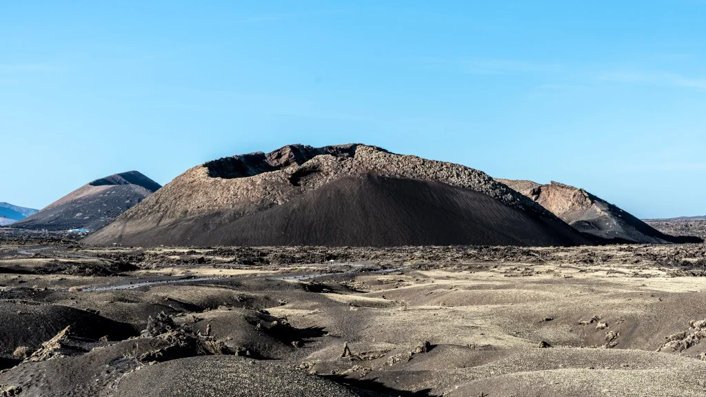 Lanzarote Wines