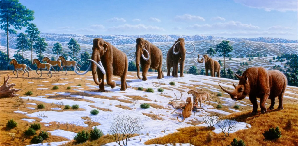 Australian megafauna