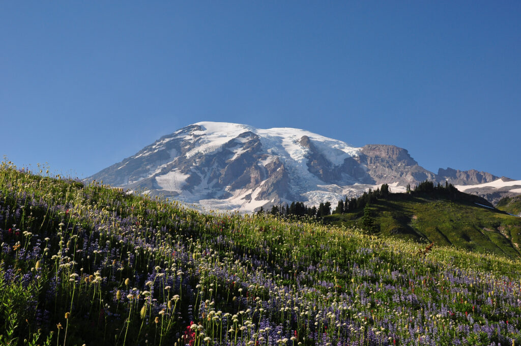 Pacific Crest Trail