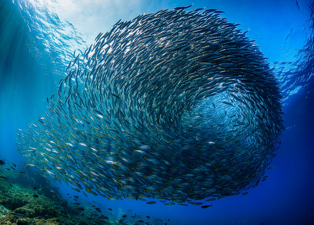 Sustainable Tourism