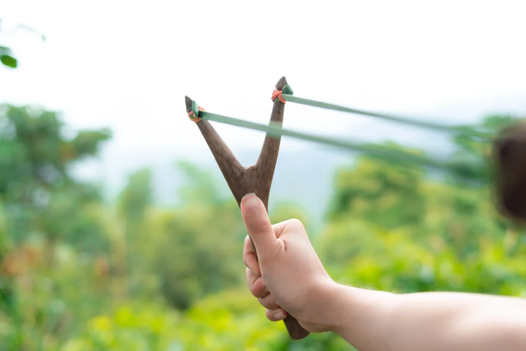 Slingshot