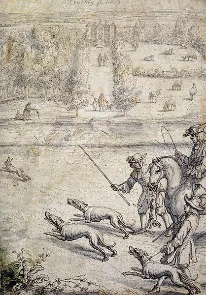Hare coursing