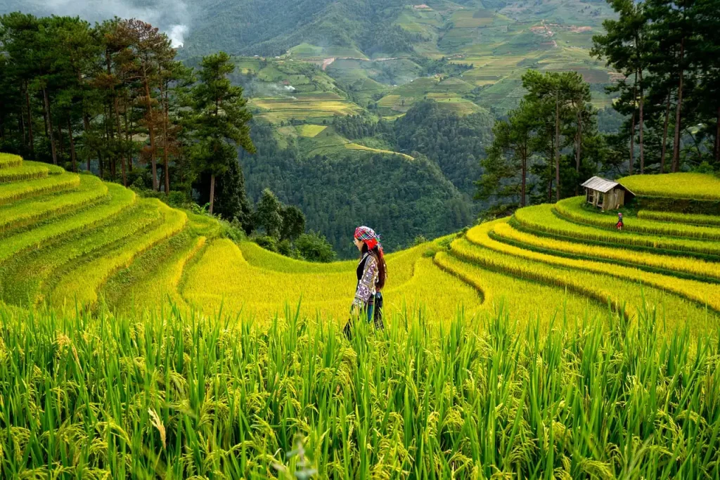 economic development