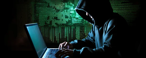 cybercrime