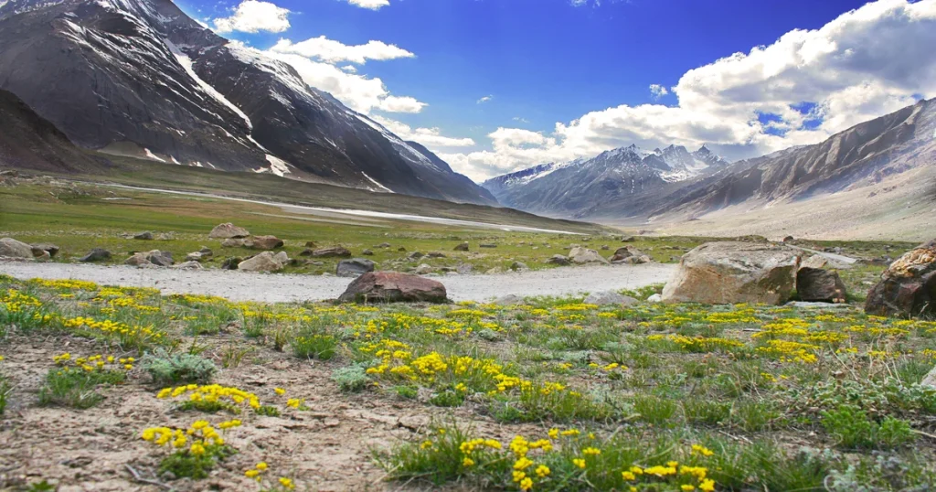 Silk Road