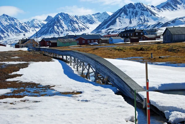 Arctic