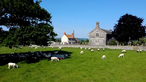 Farm