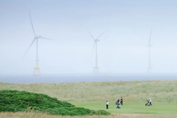 Renewable