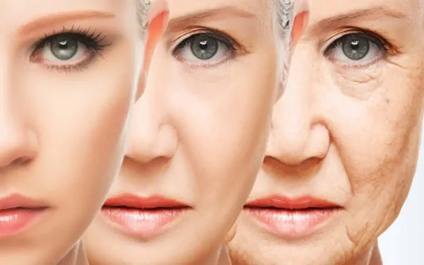 Collagen