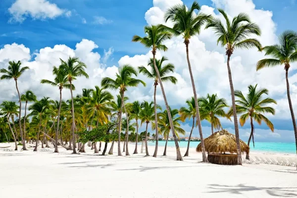 Caribbean