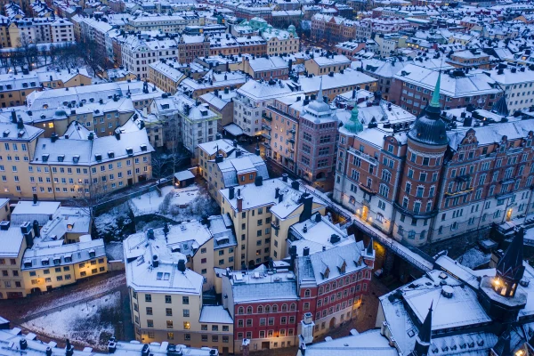 Finnish
