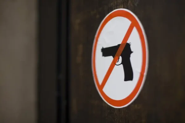 Gun