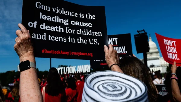 Gun