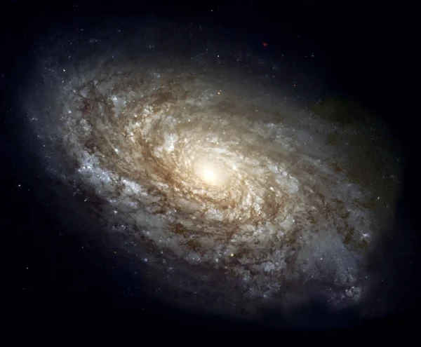 Euclid