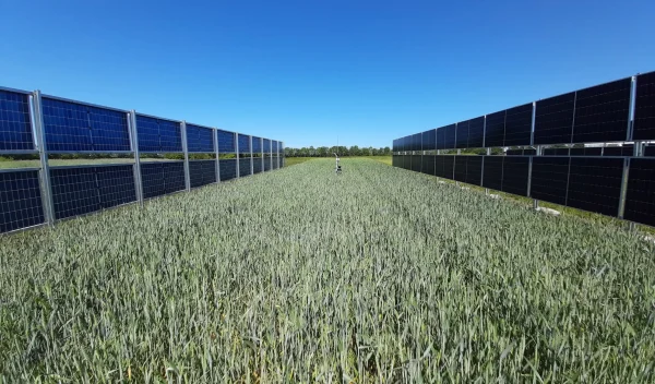 Renewable