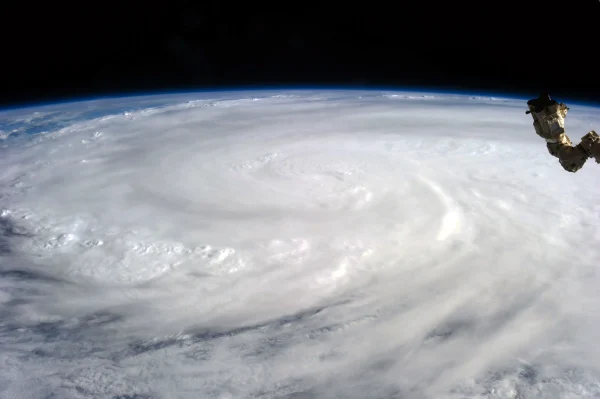 Typhoon