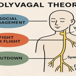 Polyvagal Theory course