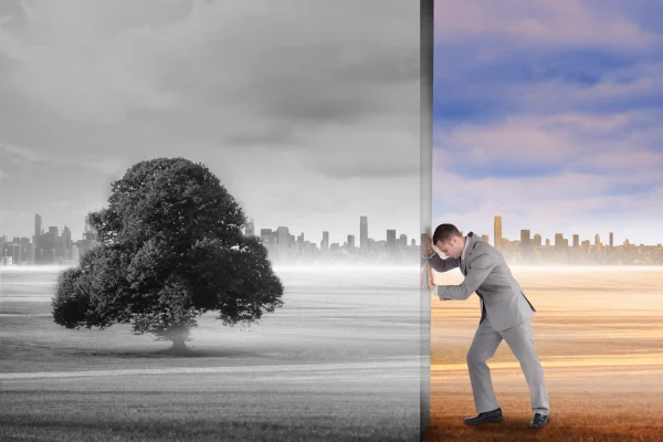 Human Growth and Development