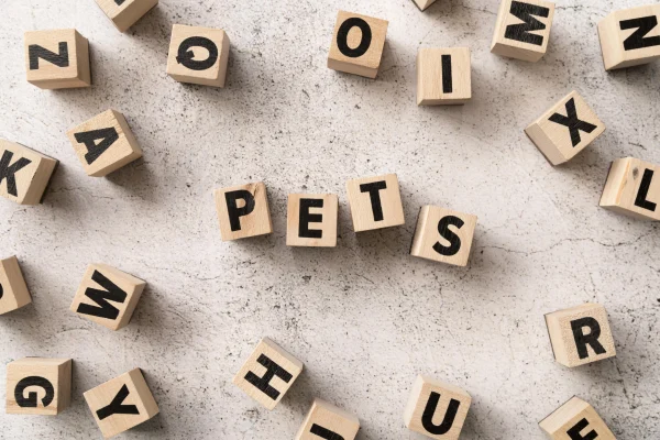 Modern Languages and Learning Strategies