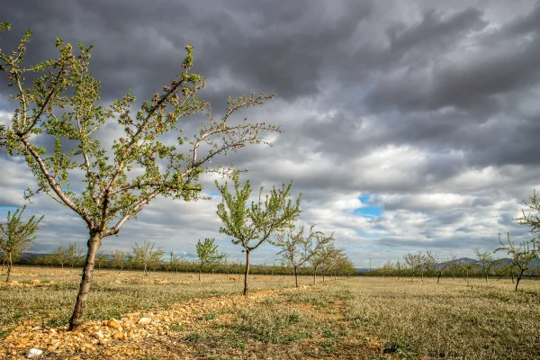 forensic anthropology
