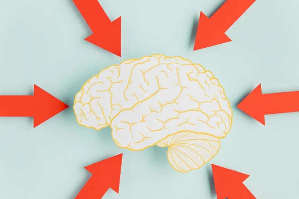 Emotion-Focused Therapy