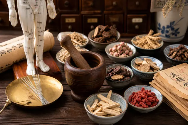 Oriental Medicine course